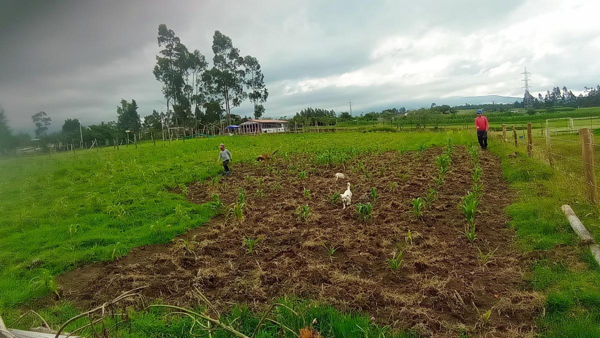 Venta Terreno de 1000 m en San Juan de La Tola - Pintag — imagen 6