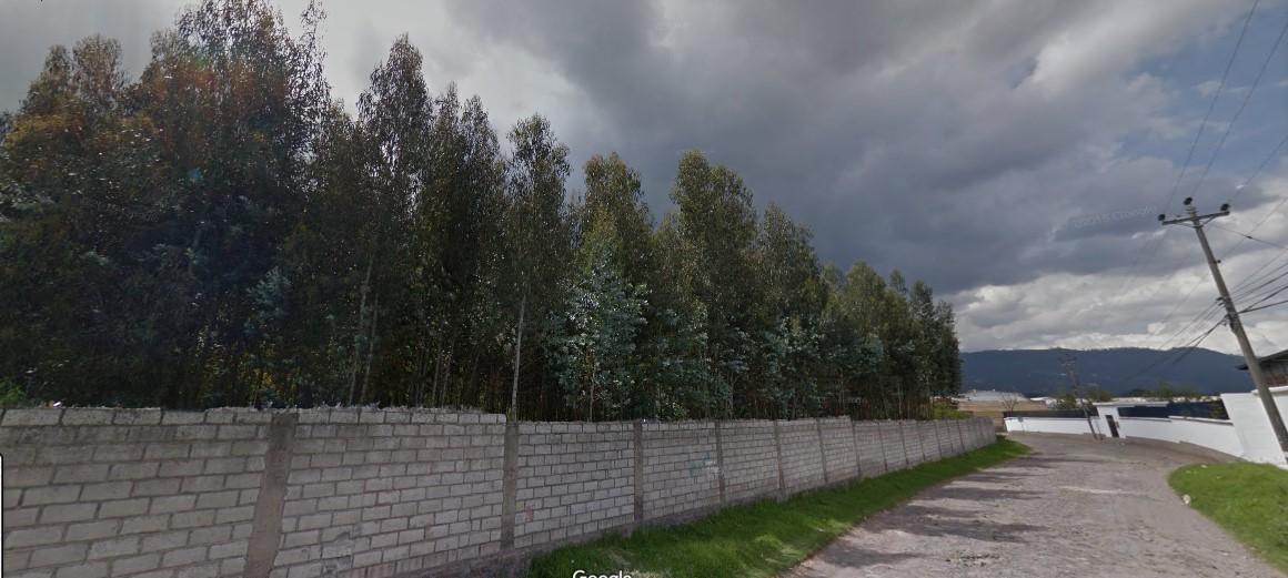 Venta Terreno Industrial Valle de Los Chillos 1.8 Has — imagen 7