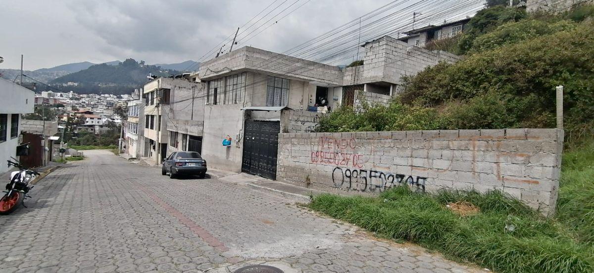 Lote Economico — imagen 5