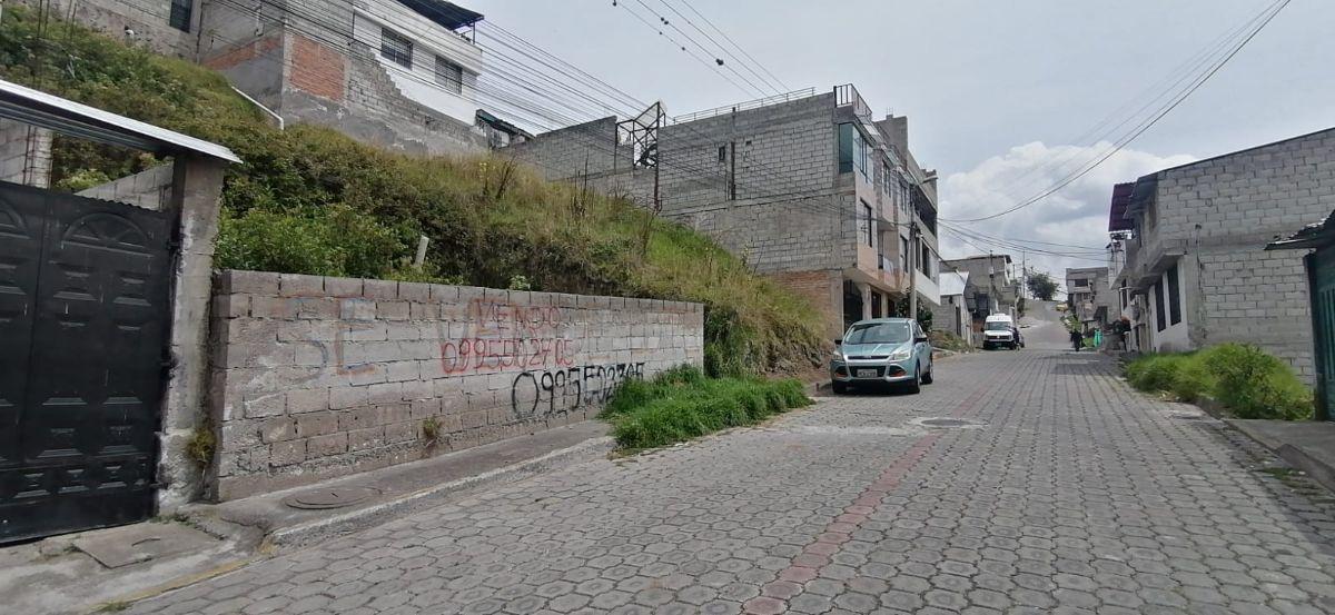 Lote Economico — imagen 4