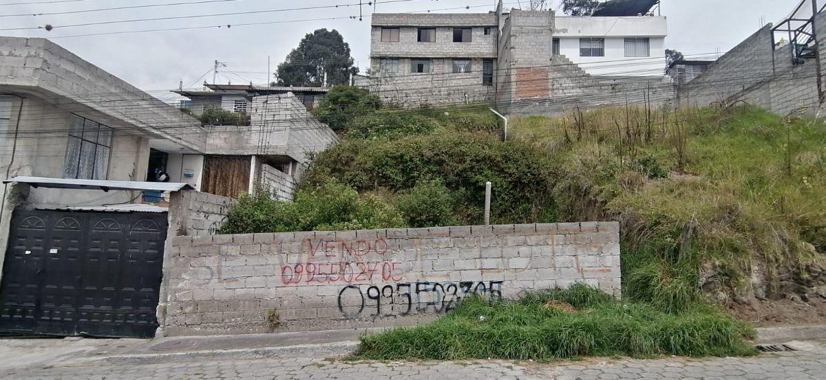 Lote Economico — imagen 3