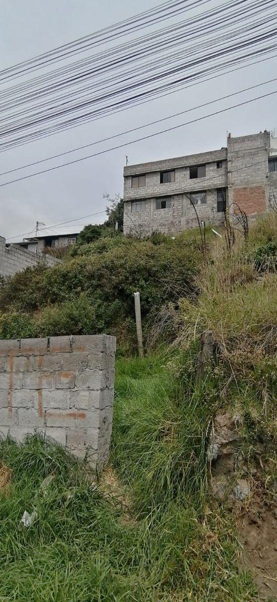 Lote Economico — imagen 2