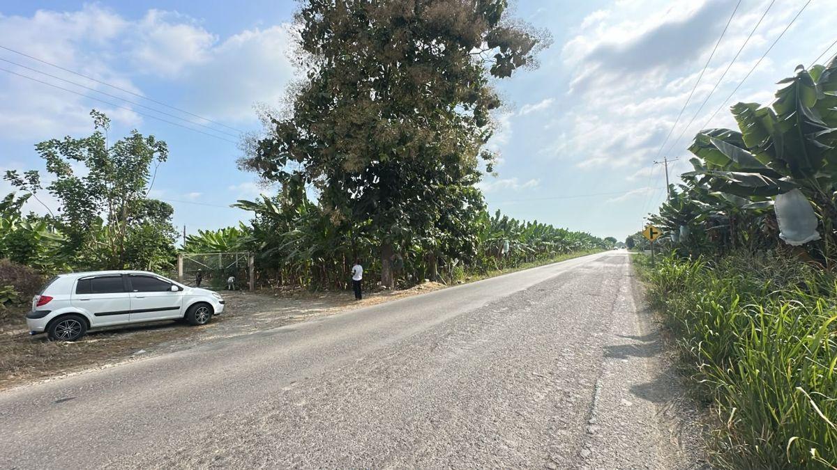 Terrenos en Venta en Buenavista, Pasaje, El Oro — imagen 8