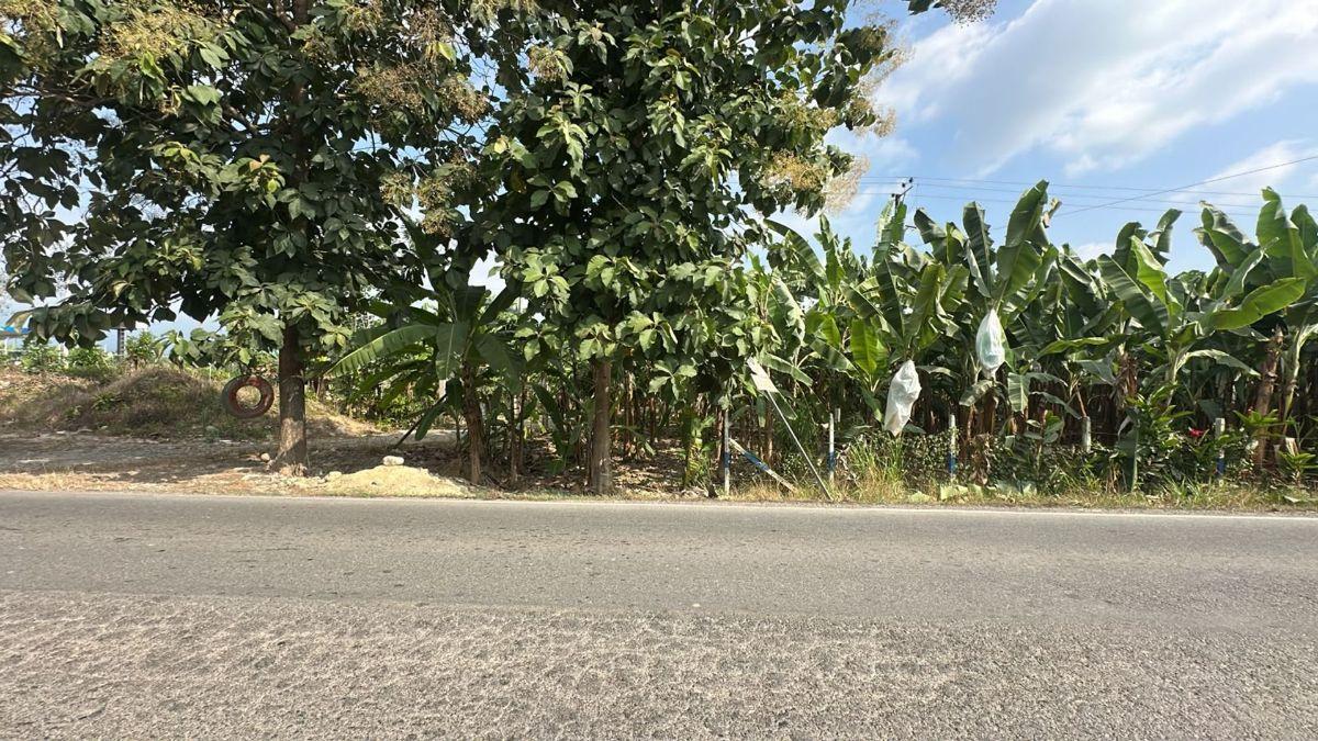 Terrenos en Venta en Buenavista, Pasaje, El Oro — imagen 2