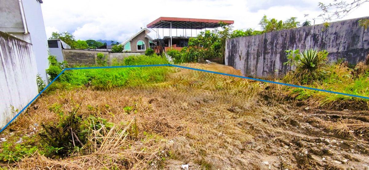 Terreno Ciudad de Tena - Sector Urbano, Napo — imagen 5