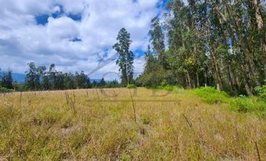 Terreno en venta en Tababela — imagen 3