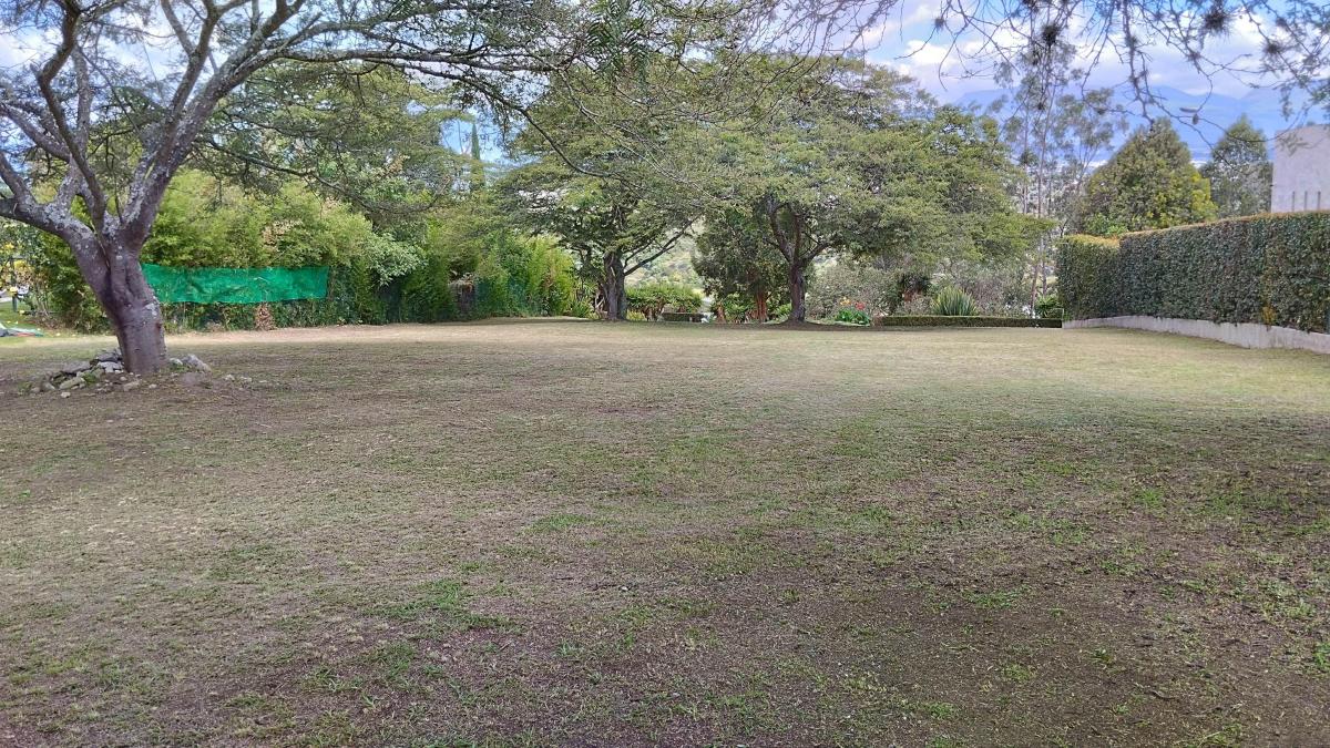 Re/max Futuro Vende Hermoso Terreno de 1.511 m² Urbanización Santa Inés Cumbaya — imagen 8