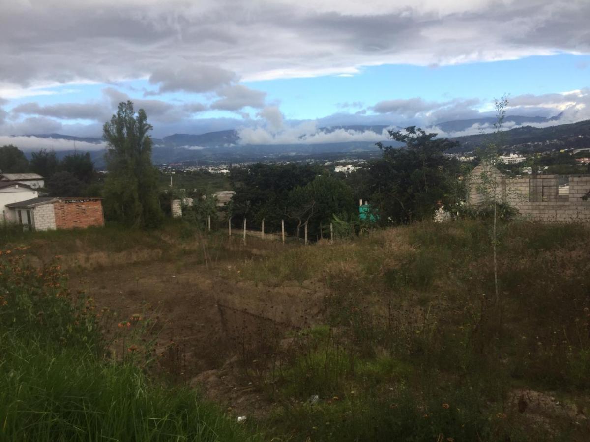 Buen Terreno Independiente 1086 m² Centro de Cumbayá con Proyecto de Suites — imagen 8