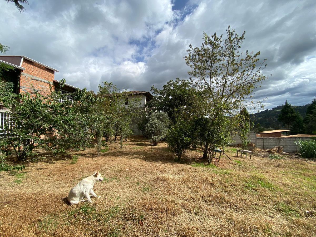 Hermosa Casa en Venta, Sector Ricaurte, Azuay — imagen 7