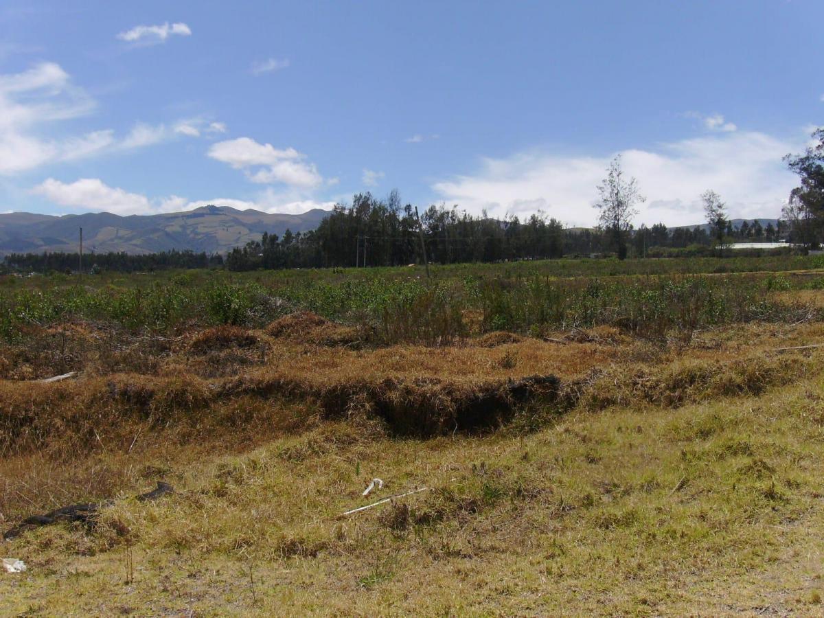 Espectacular Terreno de Venta Ubicado en Checa — imagen 6