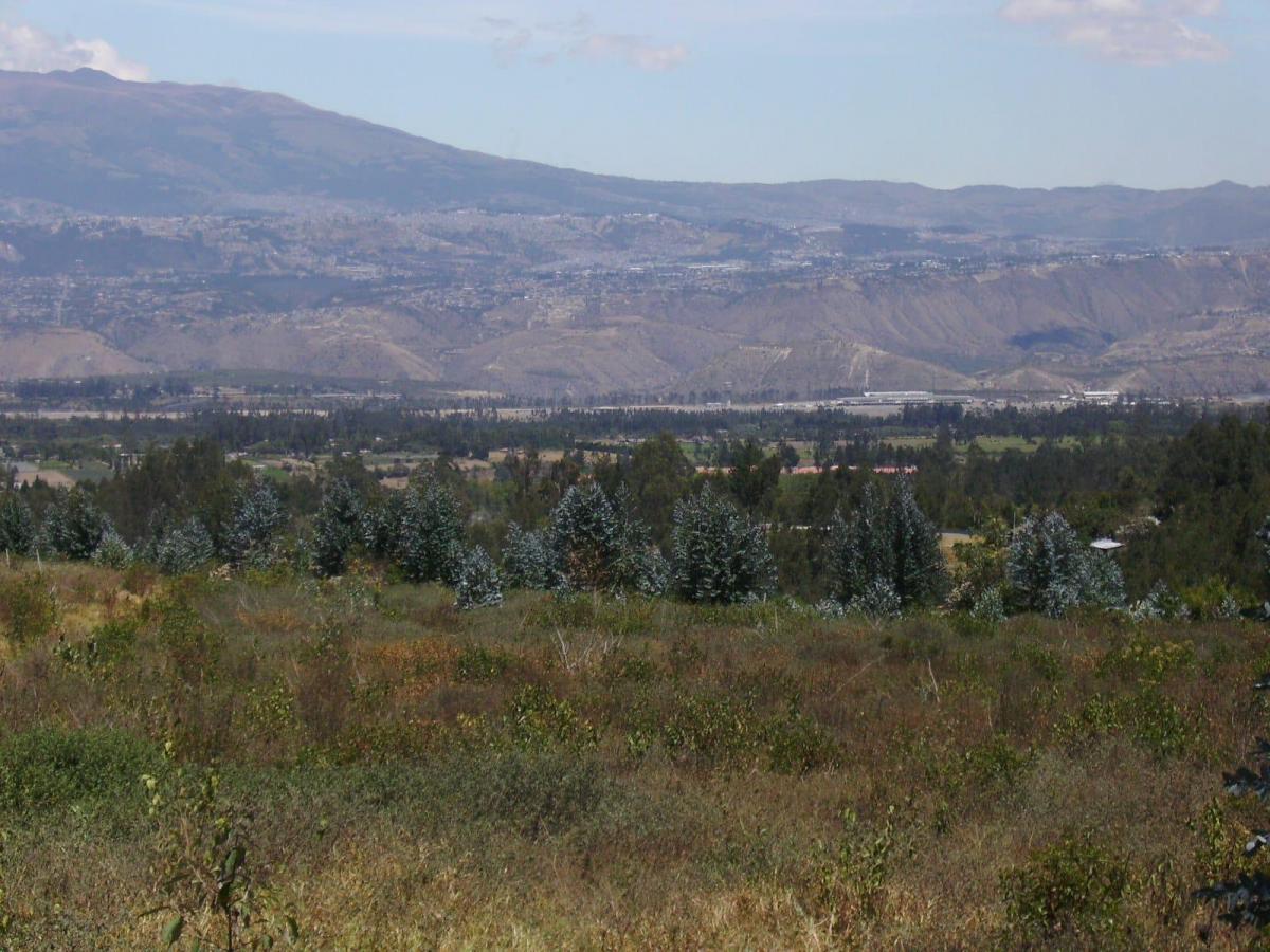 Espectacular Terreno de Venta Ubicado en Checa — imagen 2