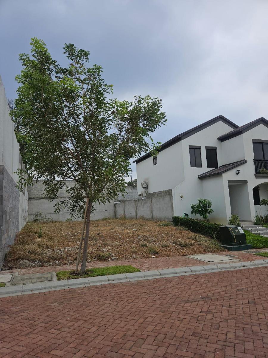 Terreno en Venta – Urbanización Costasol, Etapa I Arienzo. I - Alarcón, Guayas — imagen 6