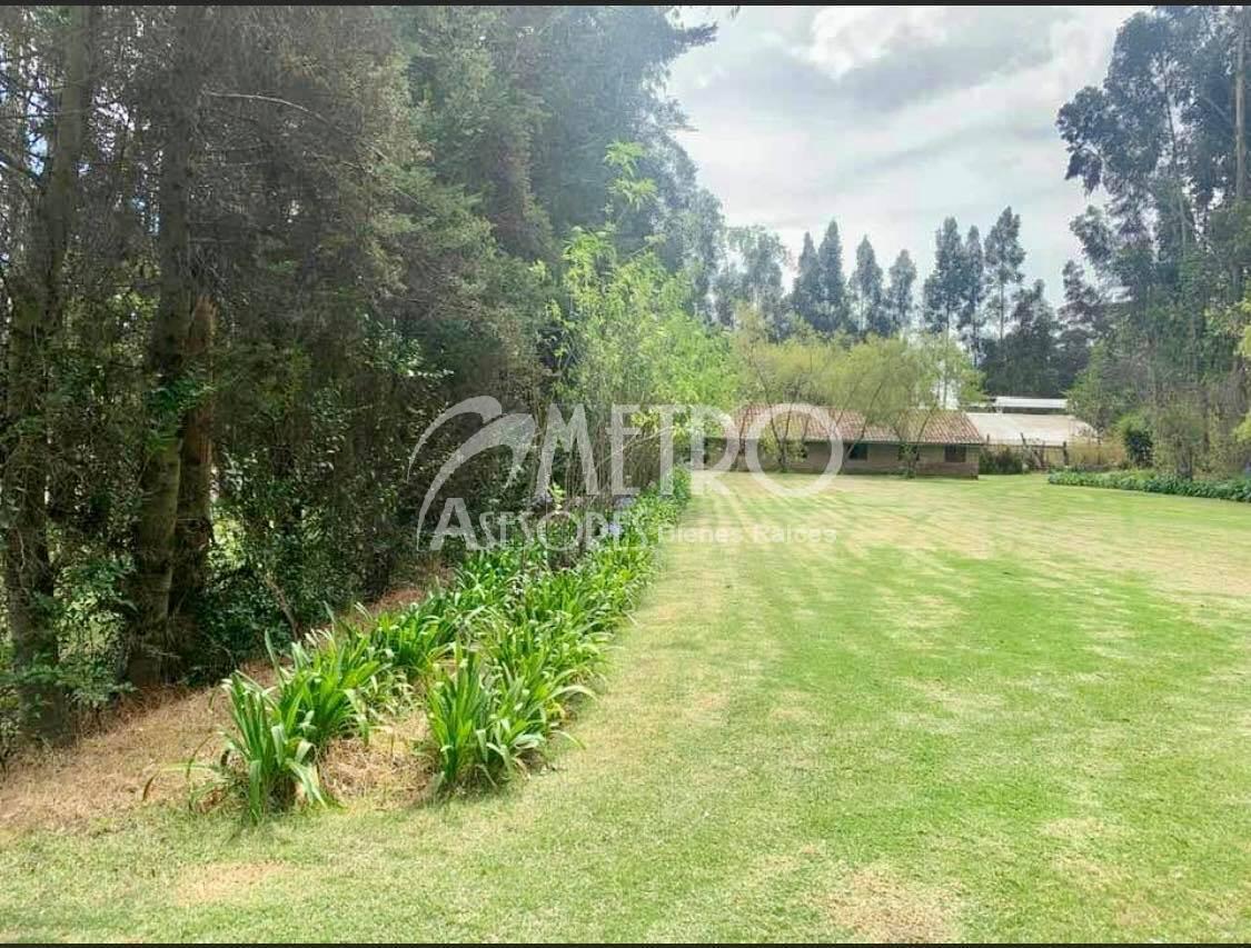 Lote de Terreno 954 m² Tabacundo Dentro de Club Campestre — imagen 10