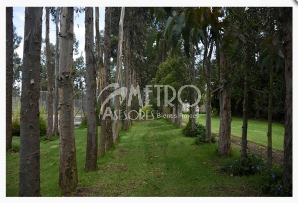 Lote de Terreno 954 m² Tabacundo Dentro de Club Campestre — imagen 9