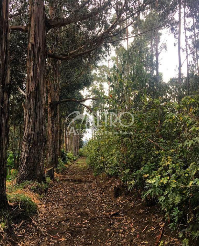 Lote de Terreno 954 m² Tabacundo Dentro de Club Campestre — imagen 7