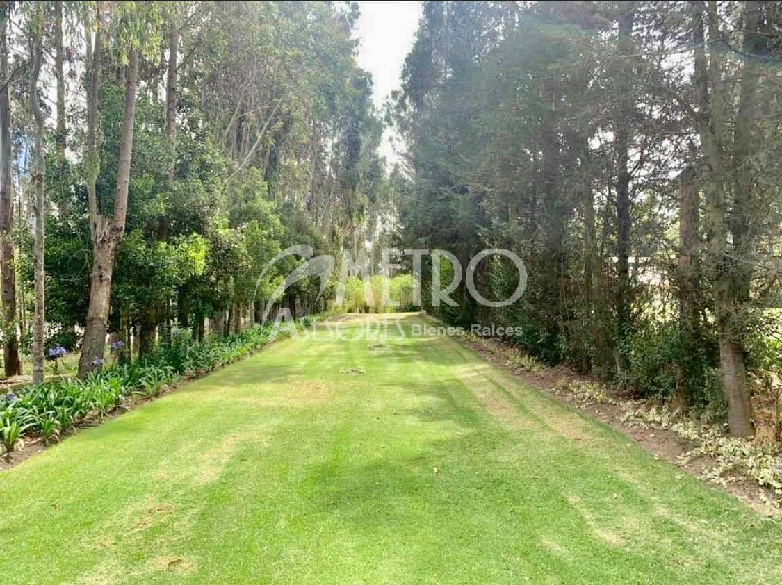Lote de Terreno 954 m² Tabacundo Dentro de Club Campestre — imagen 6