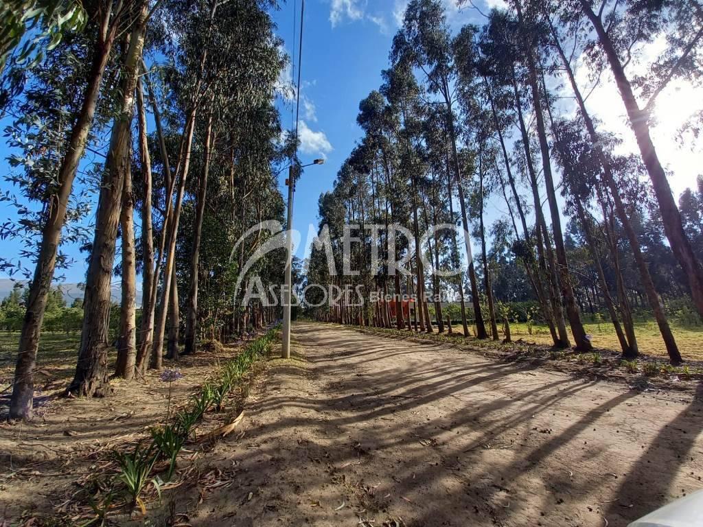 Lote de Terreno 954 m² Tabacundo Dentro de Club Campestre — imagen 2