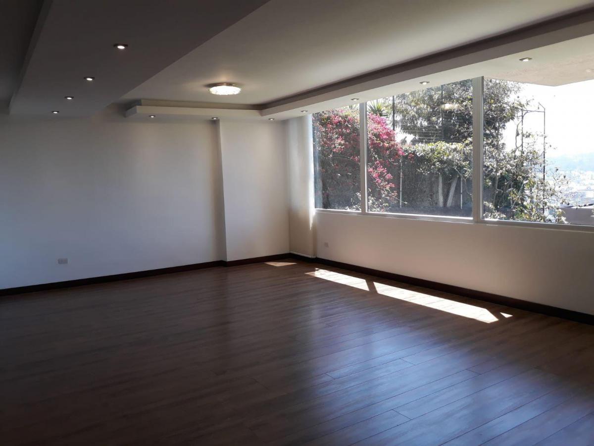 Oportunidad Venta Departamento Remodelado El Bosque — imagen 6