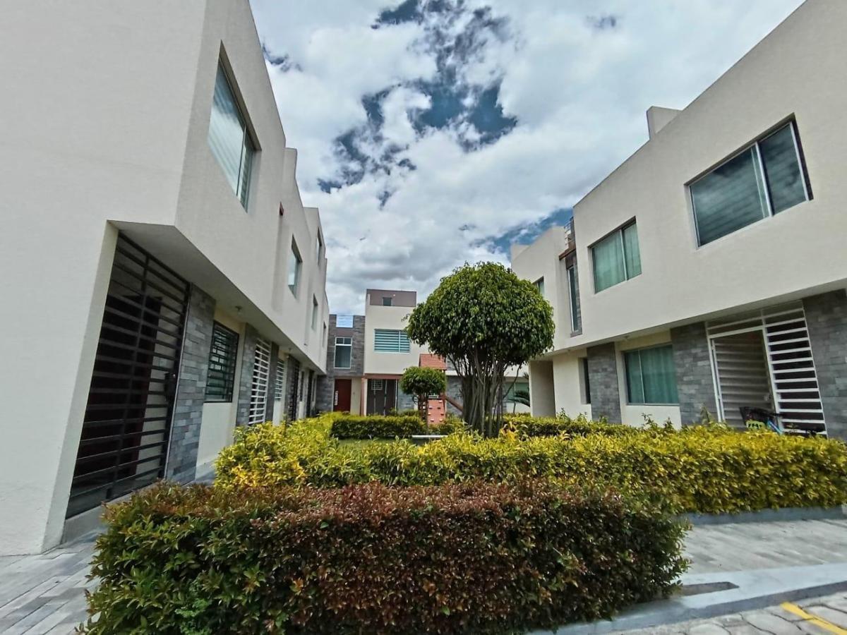 Venta Linda Casa en La Pampa Cerca Al Club de La Liga — imagen 9