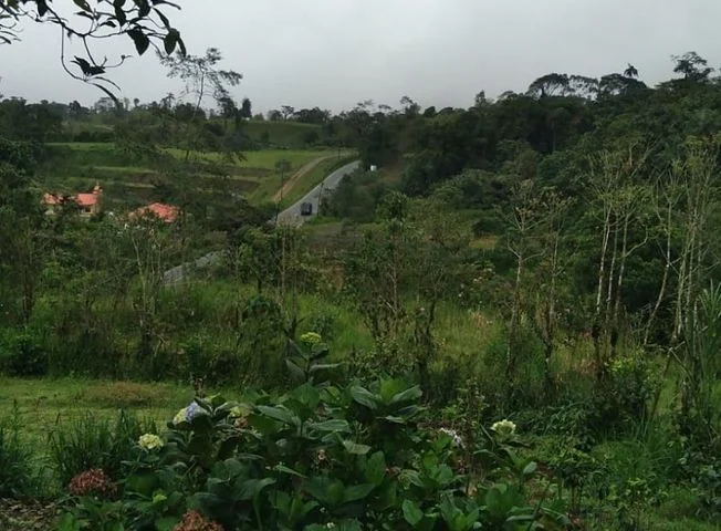 Terreno en venta en San Miguel De Los Bancos — imagen 1
