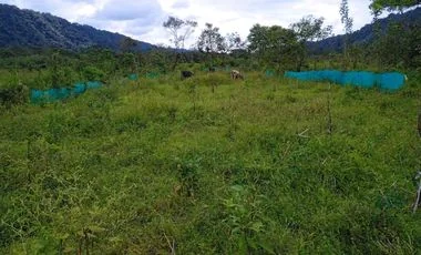 Terreno en venta en San Miguel De Los Bancos — imagen 5