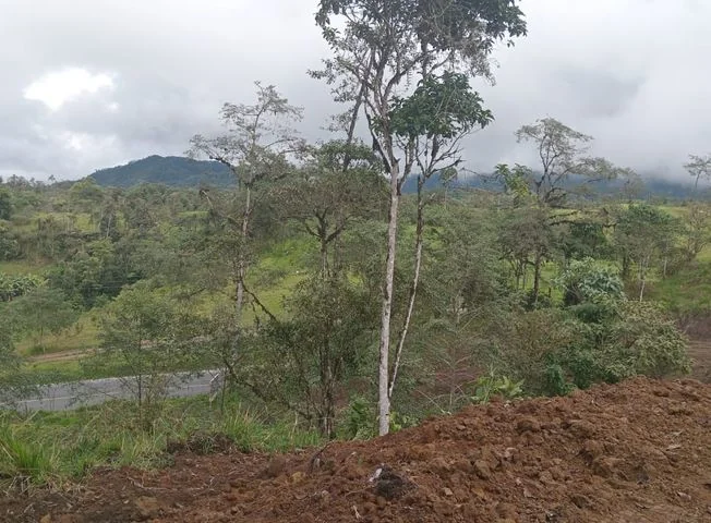 Terreno en venta en San Miguel De Los Bancos — imagen 2