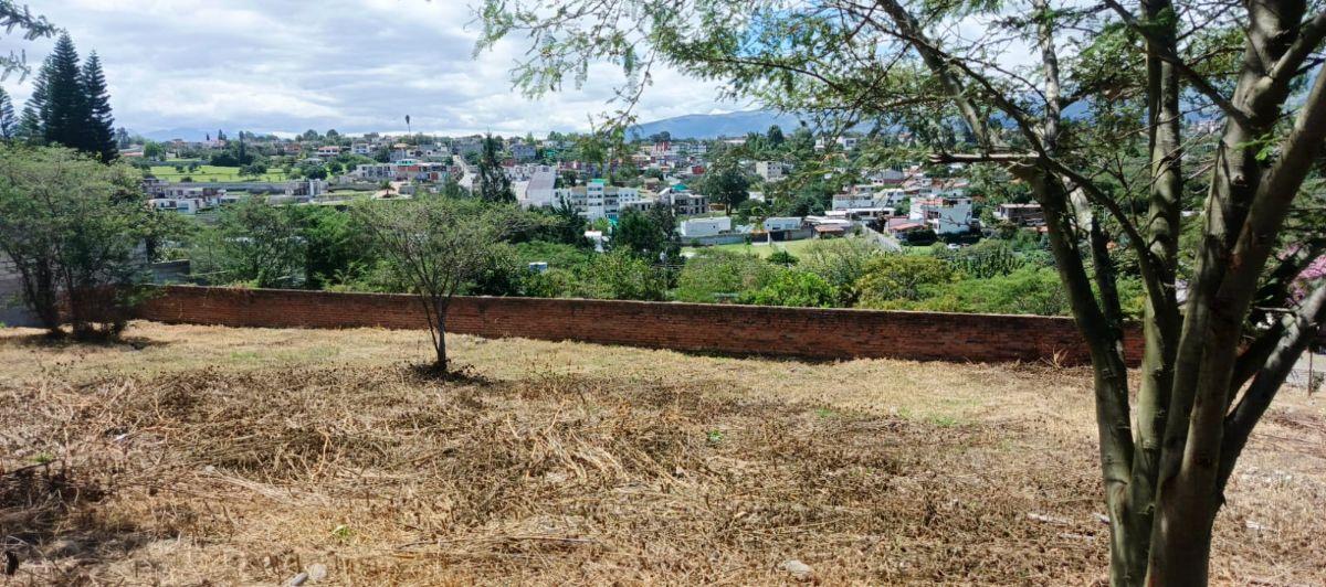 Vendo 1.080 m² Dentro de Urb. Tumbaco La Viña — imagen 9
