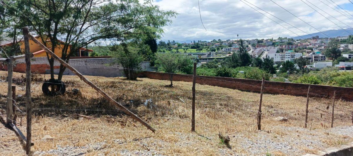 Vendo 1.080 m² Dentro de Urb. Tumbaco La Viña — imagen 8