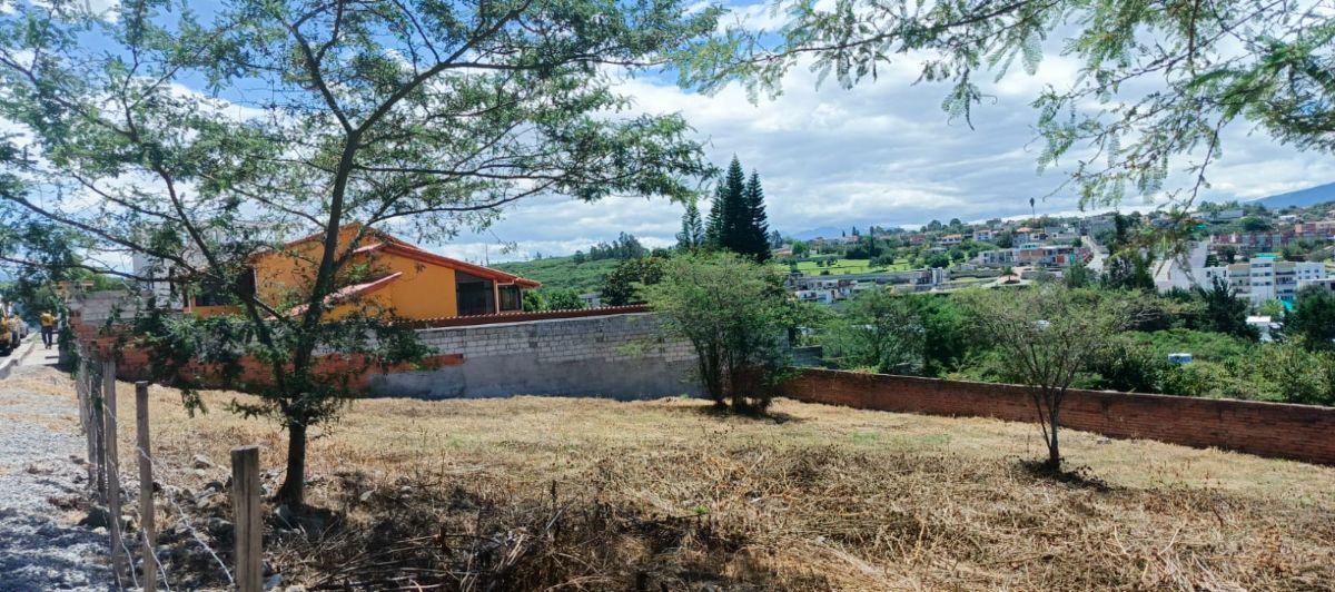 Vendo 1.080 m² Dentro de Urb. Tumbaco La Viña — imagen 2
