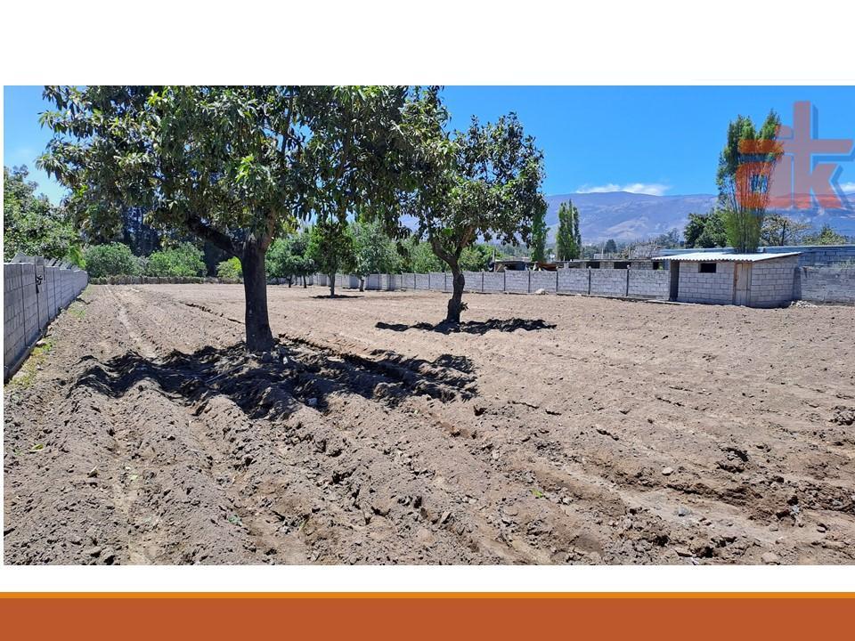 Venta Terreno 2750 m² Tumbaco Collaqui — imagen 4