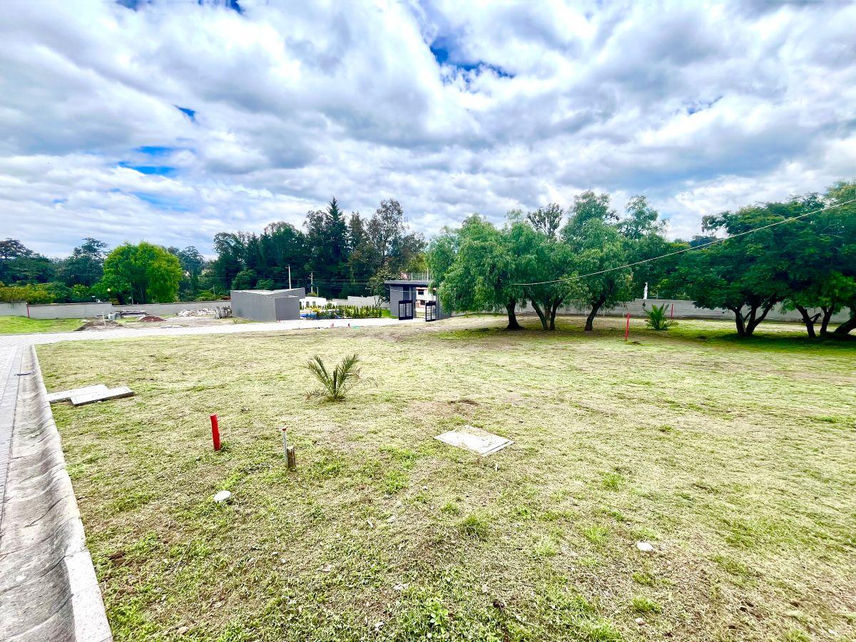 Puembo | Exclusivo Conjunto de 10 Lotes con Diseño Arquitectónico Aprobado — imagen 8