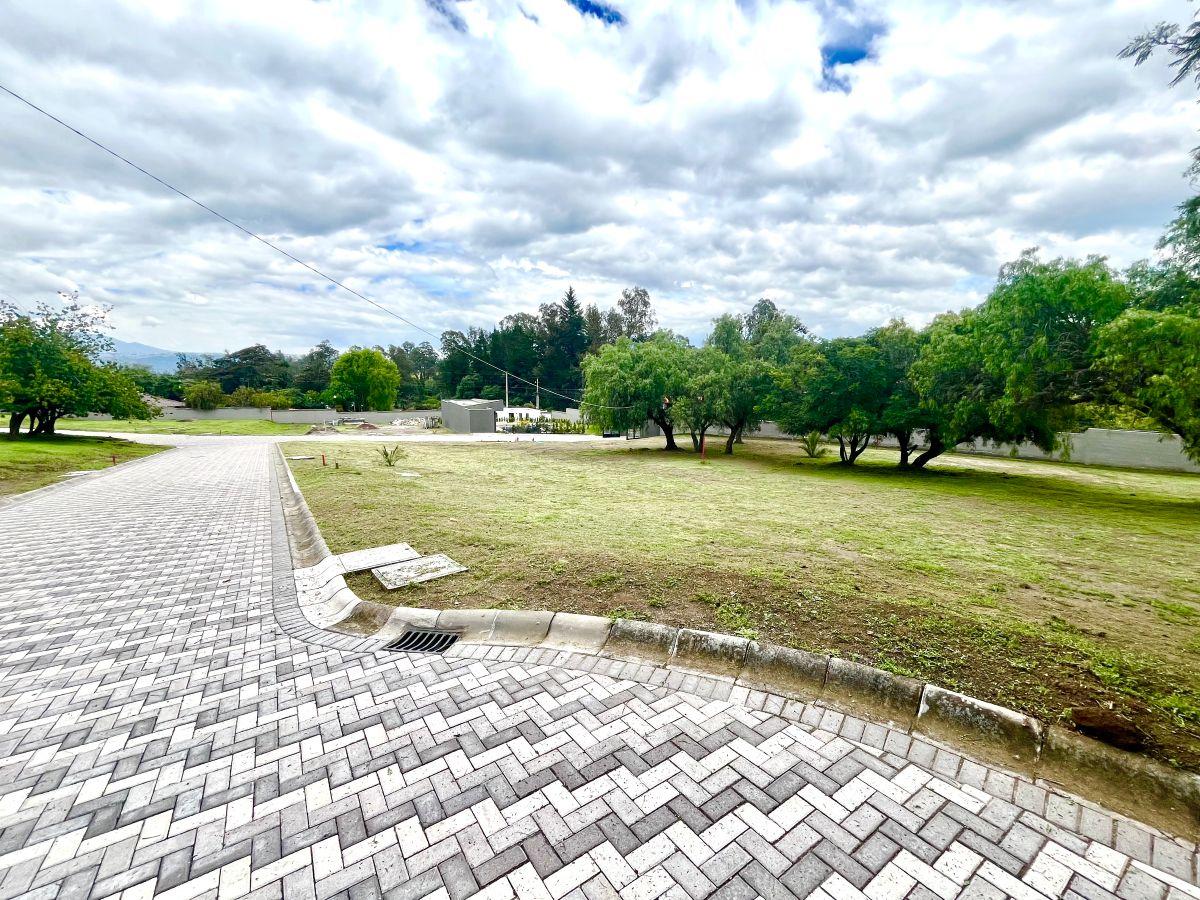 Puembo | Exclusivo Conjunto de 10 Lotes con Diseño Arquitectónico Aprobado — imagen 6