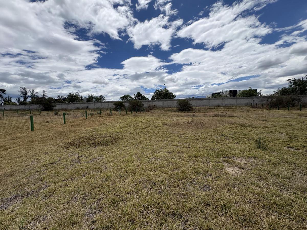 Terreno en Venta Puembo Urb. Palermo — imagen 5