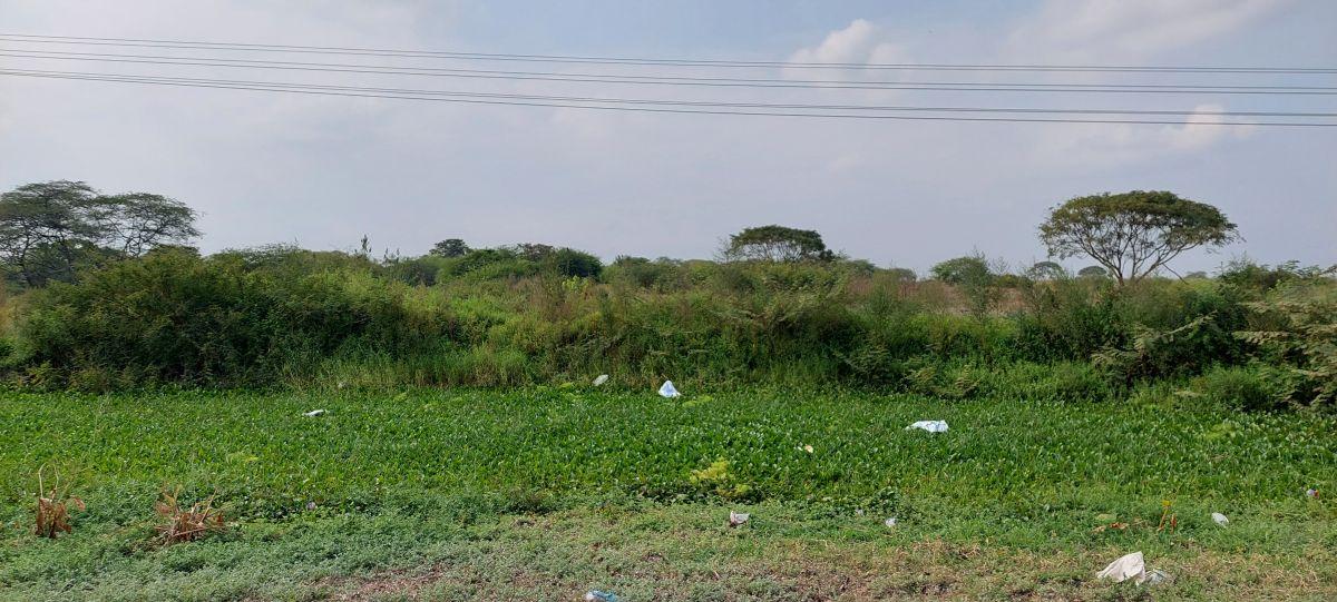 Venta Terreno 50000 m² Alto Impacto en Via Duran Tambo, Guayas — imagen 4