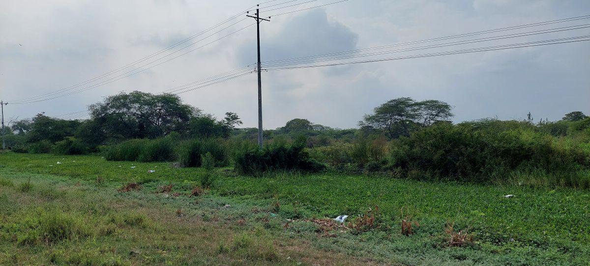 Venta Terreno 50000 m² Alto Impacto en Via Duran Tambo, Guayas — imagen 3
