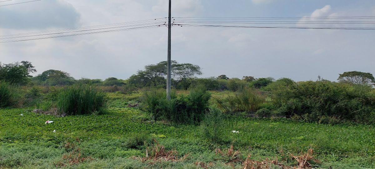 Venta Terreno 50000 m² Alto Impacto en Via Duran Tambo, Guayas — imagen 2