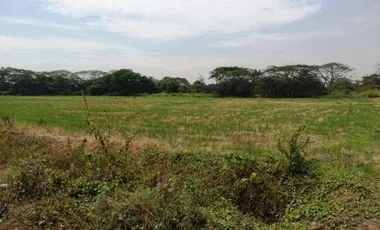 Terreno en venta en Mucho Lote — imagen 4