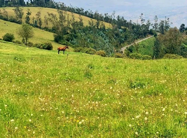 Terreno en venta en Riobamba — imagen 3