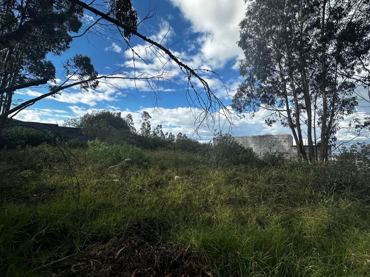 Se Vende Terreno Dentro de Urbanización Sector Embajada Americana — imagen 6