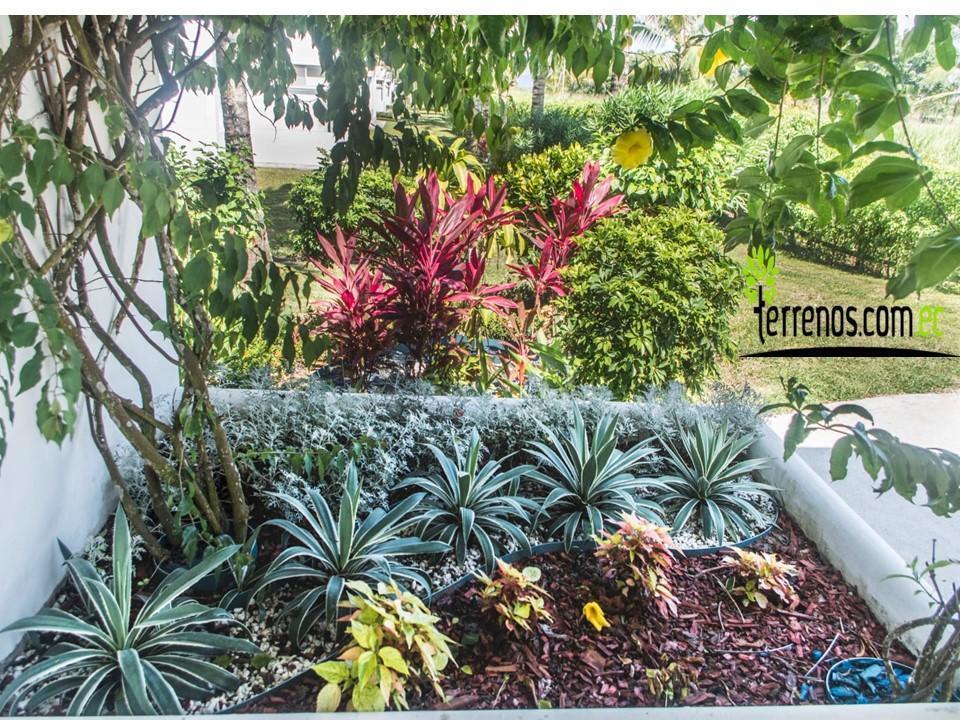Vendo Terrenos Cojimies Manabí en Urbanización de Lujo Crédito Directo, Manabí — imagen 8