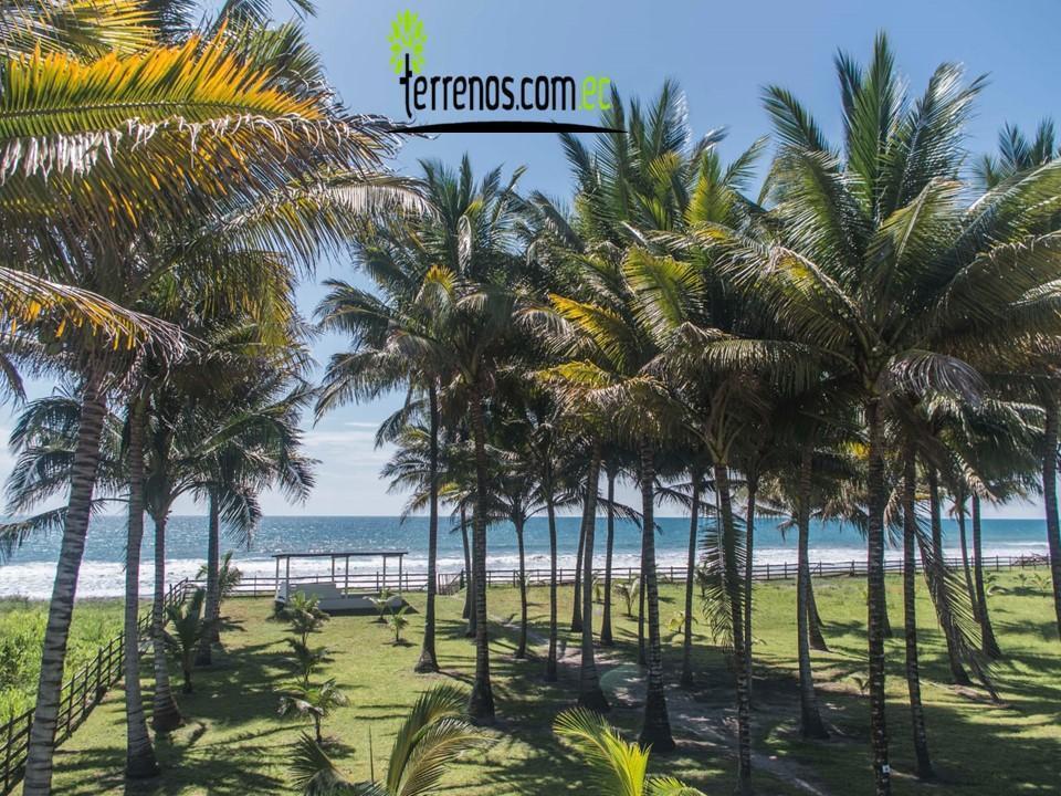 Vendo Terrenos Cojimies Manabí en Urbanización de Lujo Crédito Directo, Manabí — imagen 7