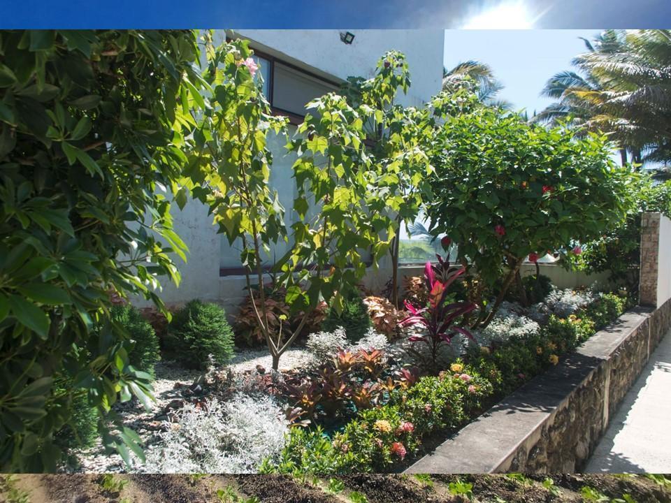 Vendo Terrenos Cojimies Manabí en Urbanización de Lujo Crédito Directo, Manabí — imagen 2