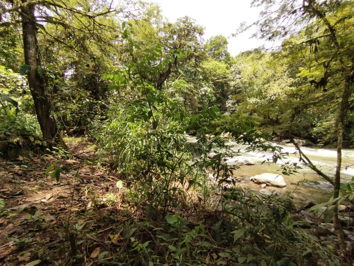 Venta Terreno Mindo — imagen 10