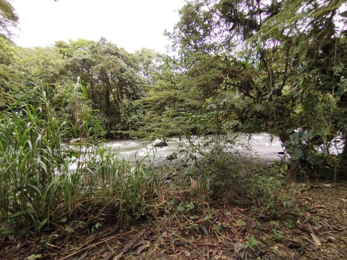 Venta Terreno Mindo — imagen 7
