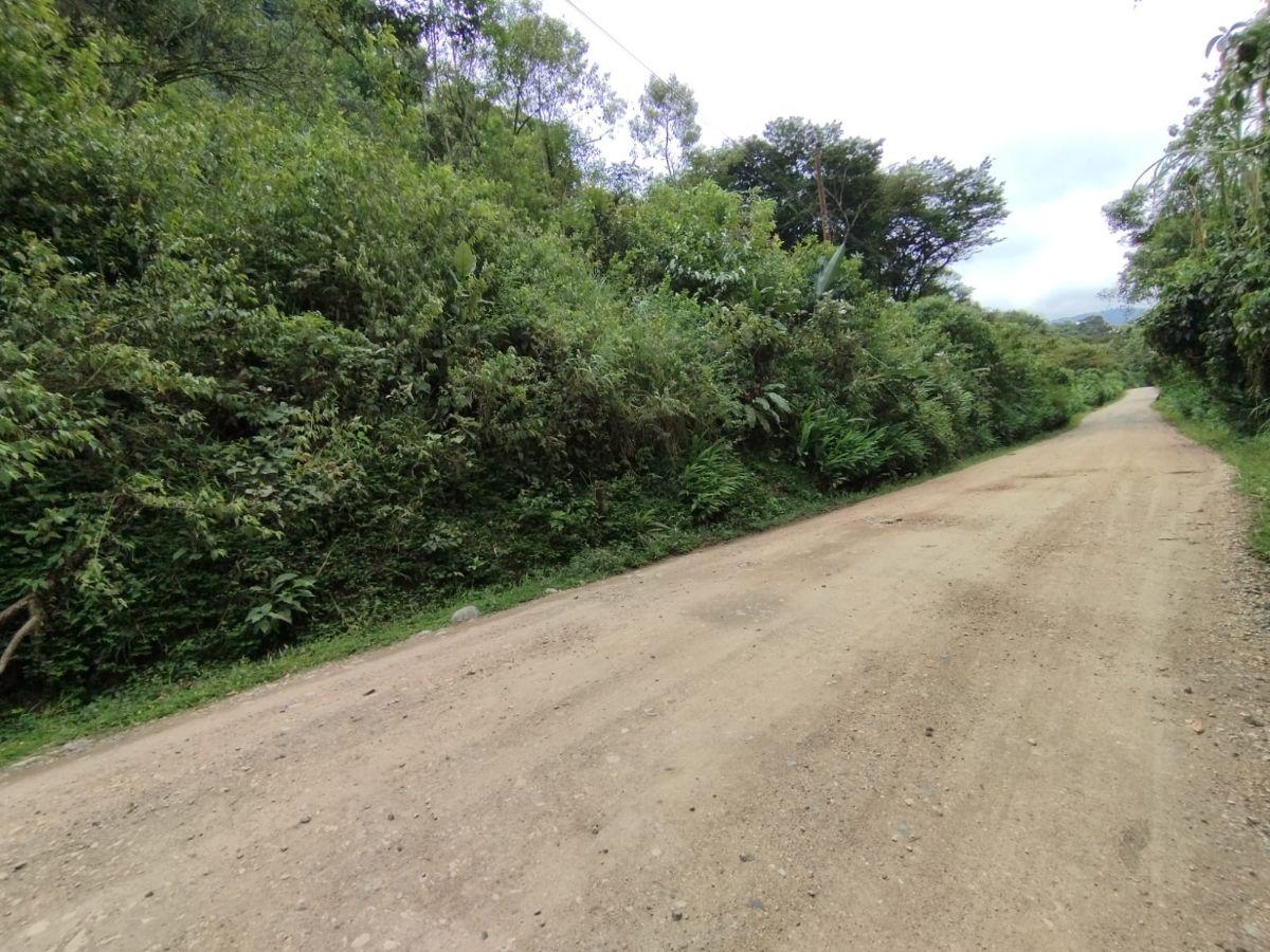 Venta Terreno Mindo — imagen 3