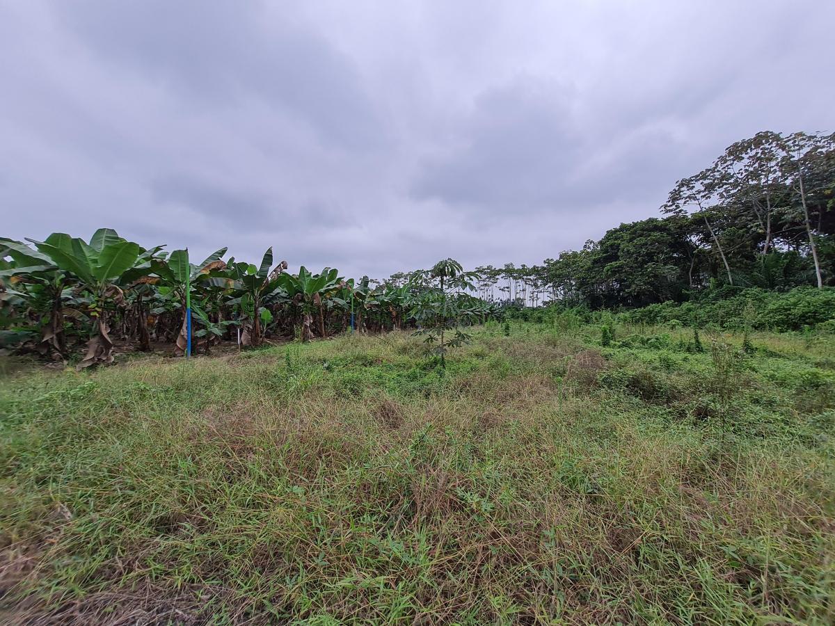 Terreno Agrícola en Venta 5.19 Hectáreas - Cantón Simón Bolivar, Guayas, Guayas — imagen 10
