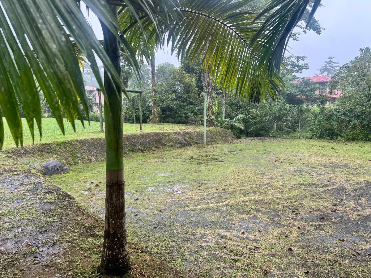 Terreno en Venta Pedro Vicente — imagen 5