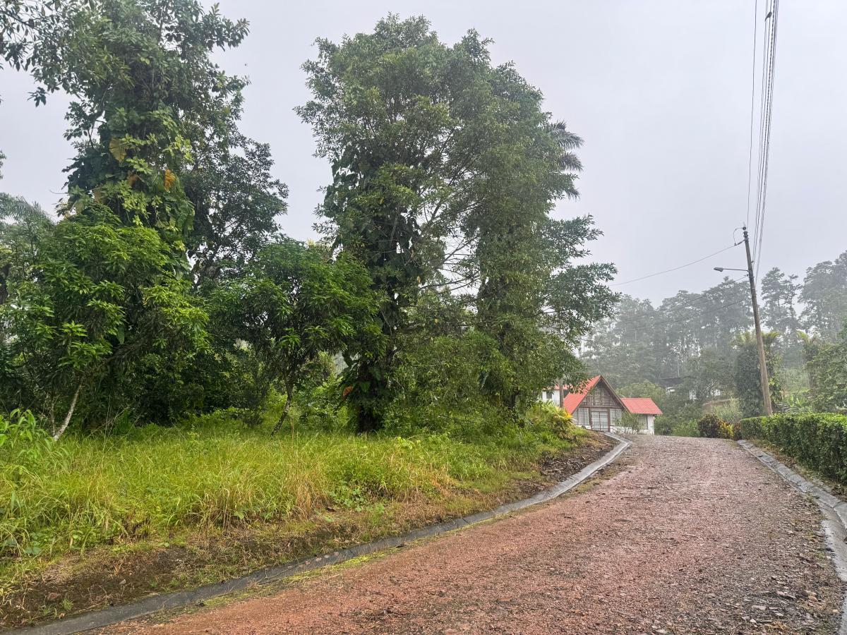 Terreno en Venta Pedro Vicente — imagen 4