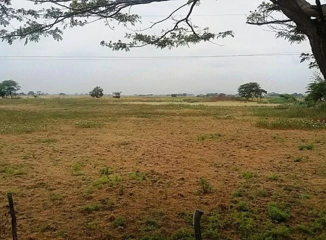 Terreno en venta en Daule — imagen 1