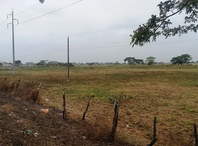 Terreno en venta en Daule — imagen 3